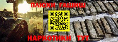 стаф Белореченск